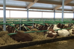 17.01.2018 Ettevõtete külastus - Saaremaa Piimatööstus AS ja Kõljala Põllumajanduslik OÜ